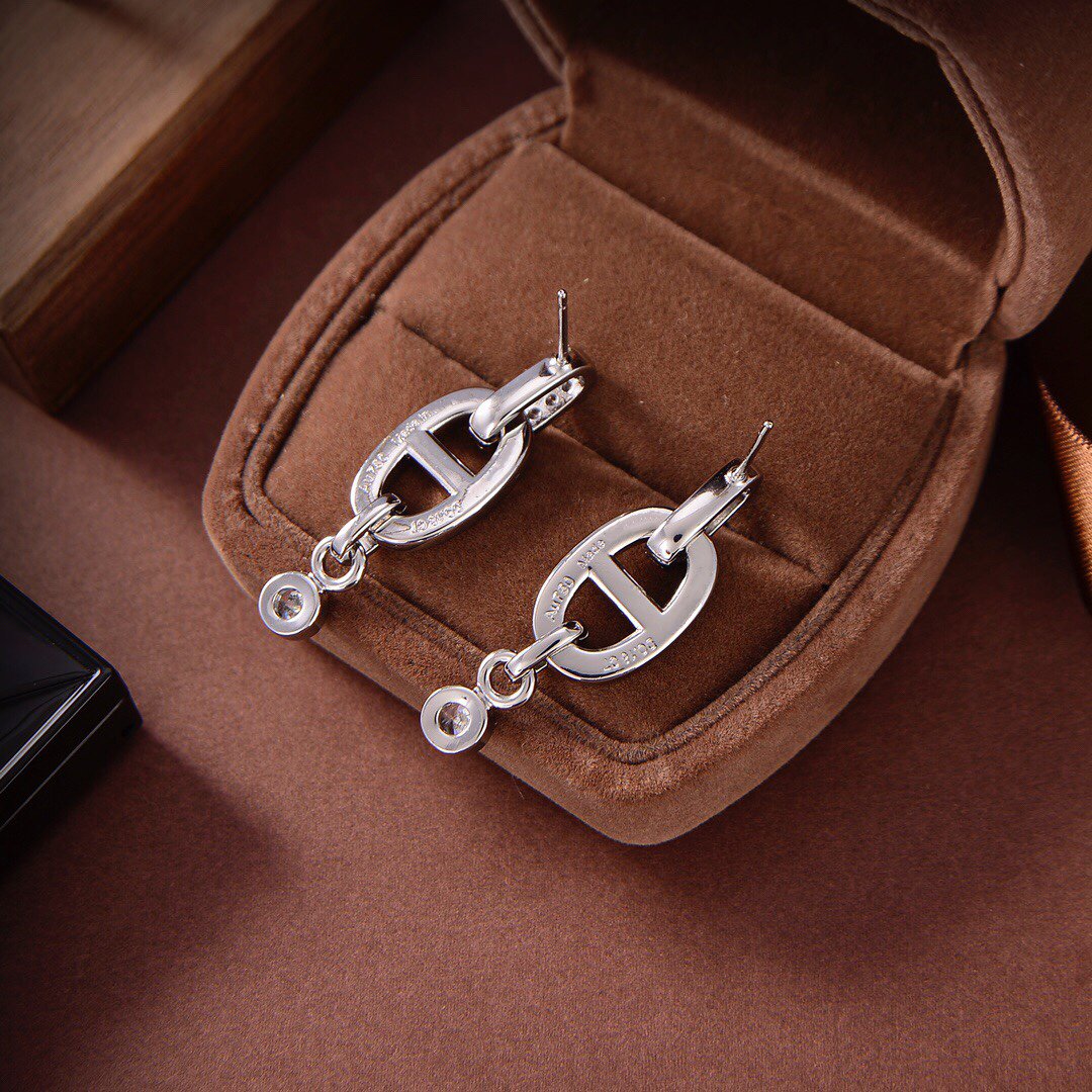 [⭐JeweliWhal]HM CHAINE DIAMOND EARRINGS